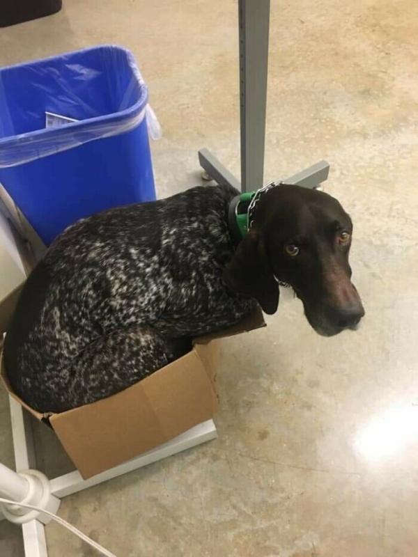 ������ ��������