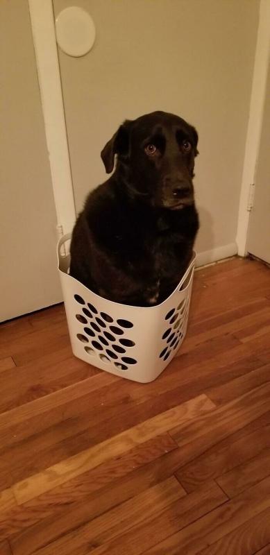 ������ ��������