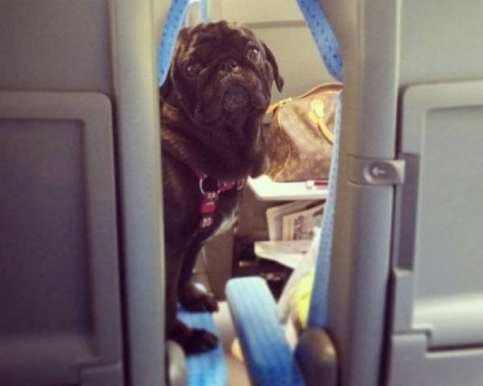 ������ ��������