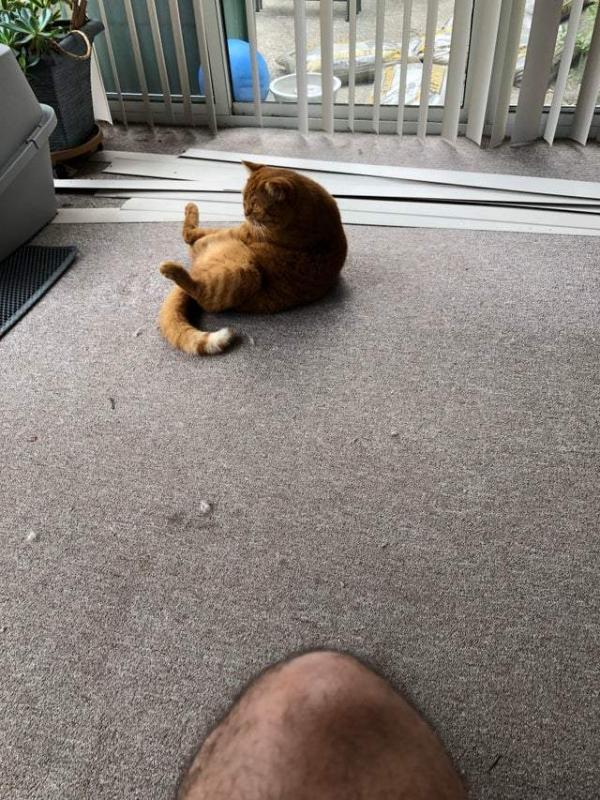 ������ ��������