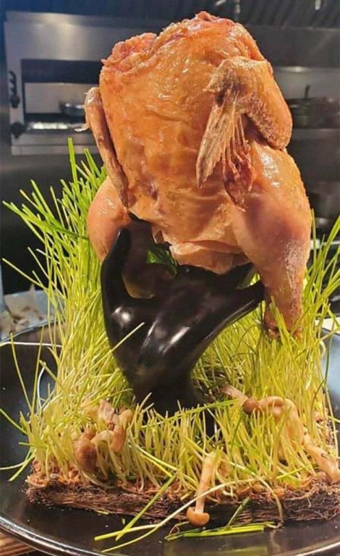 ������ ��������