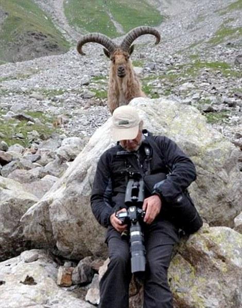 ������ ��������