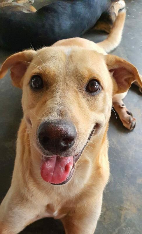 ������ ��������