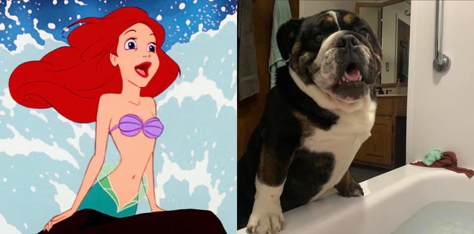 ������ ��������