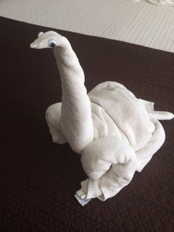 ������ ��������