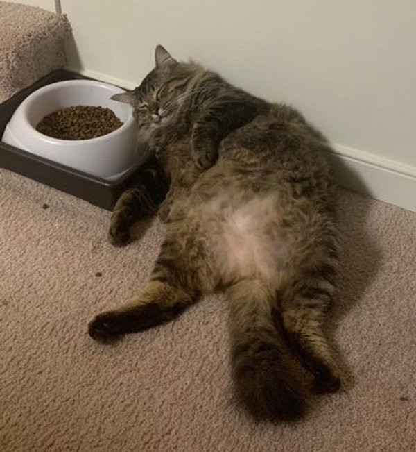 ������ ��������