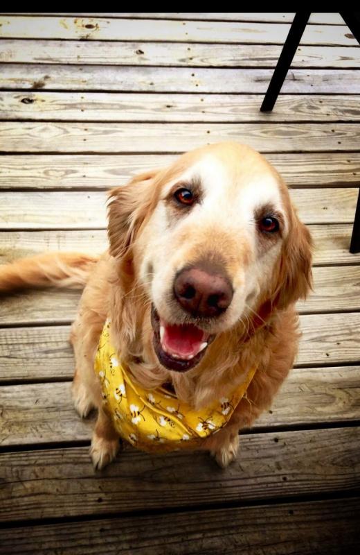 ������ ��������