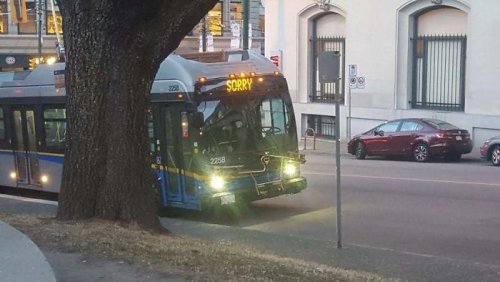 ������ ��������