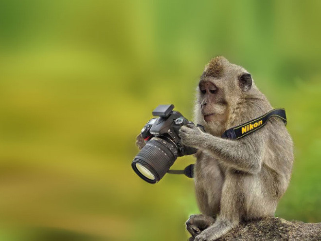 ������ ��������