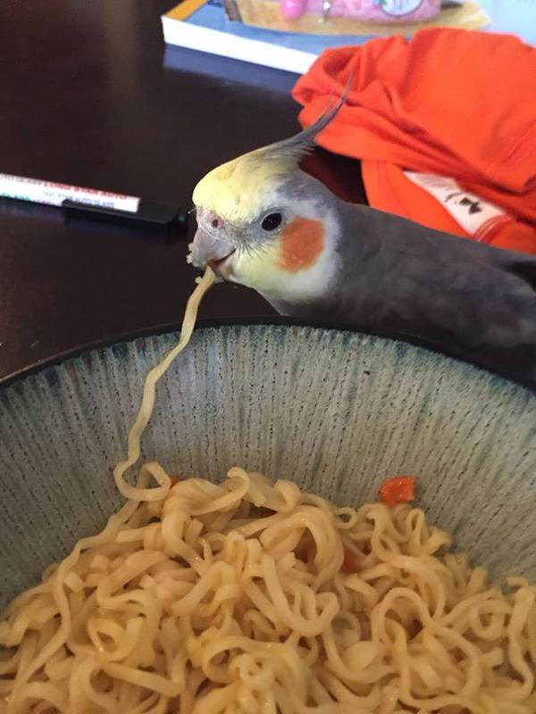 ������ ��������