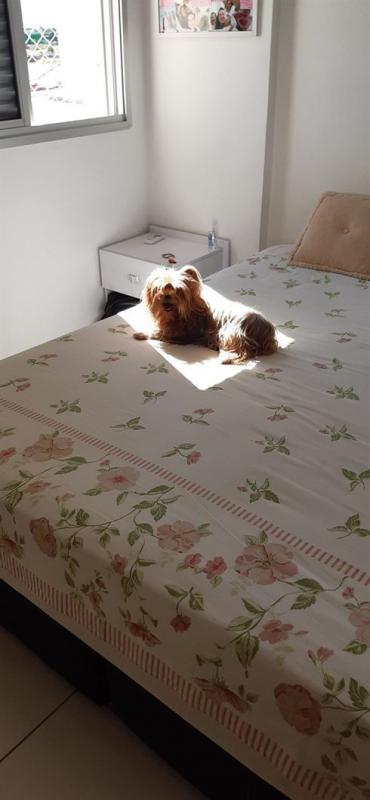 ������ ��������