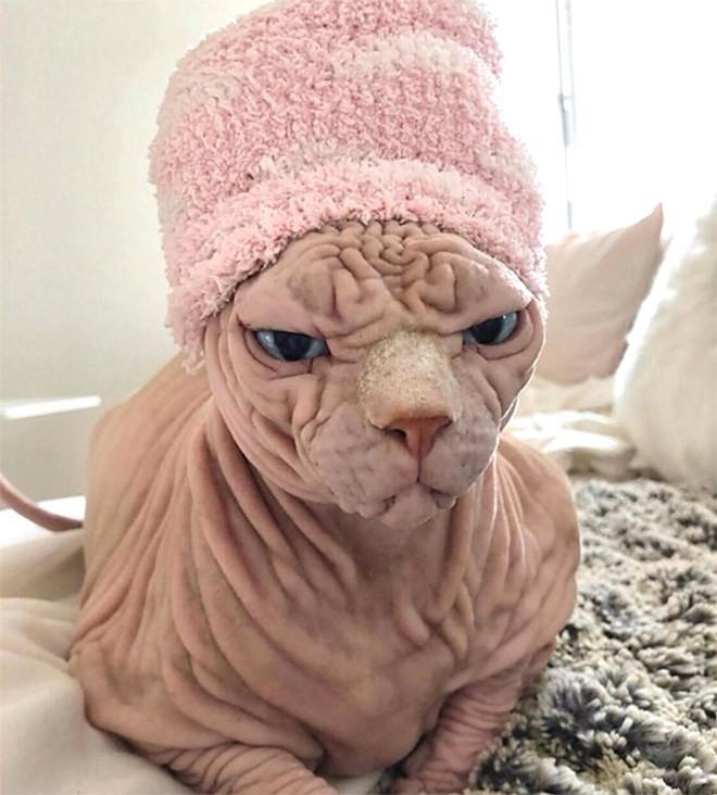 ������ ��������