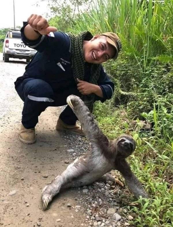 ������ ��������