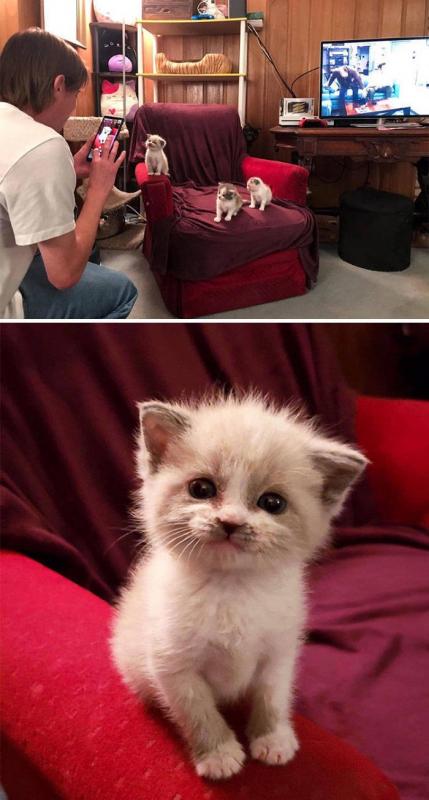 ������ ��������