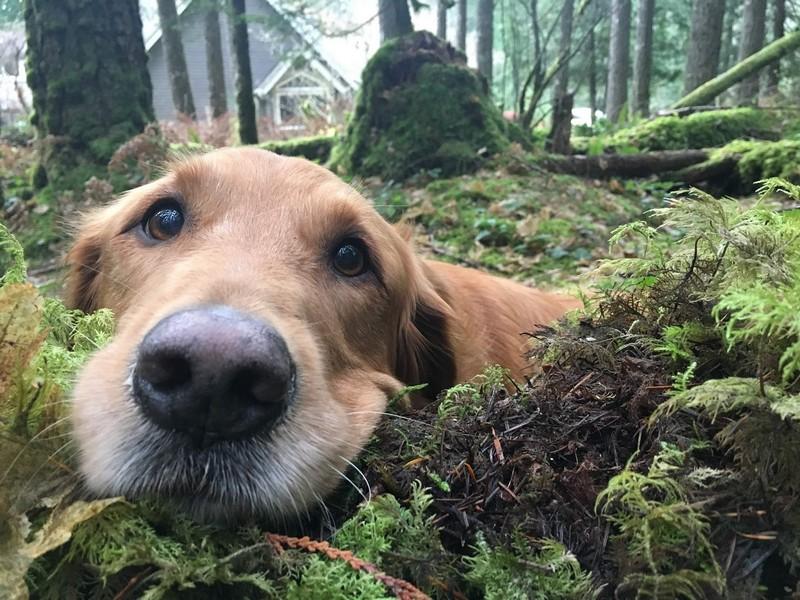 ������ ��������