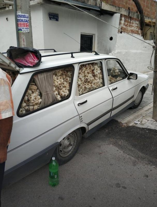 ������ ��������