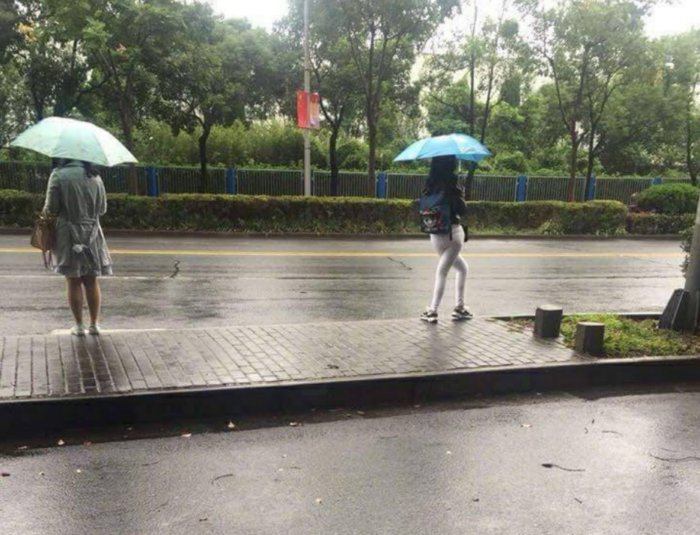 ������ ��������