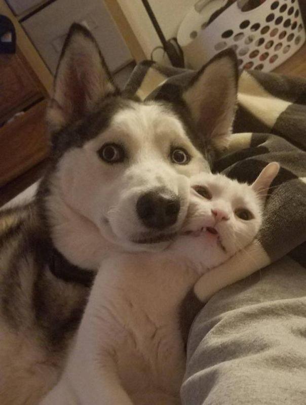 ������ ��������