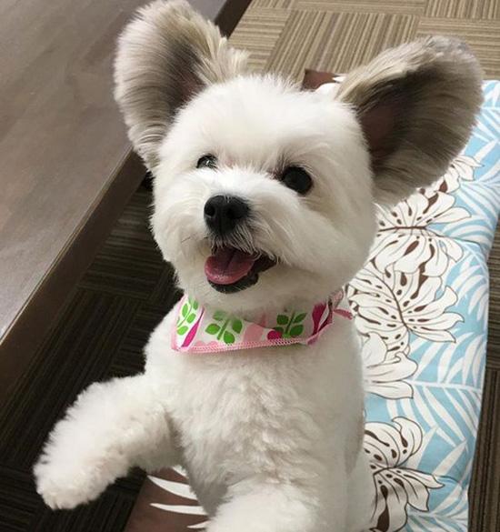 ������ ��������