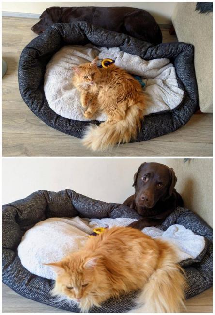 ������ ��������