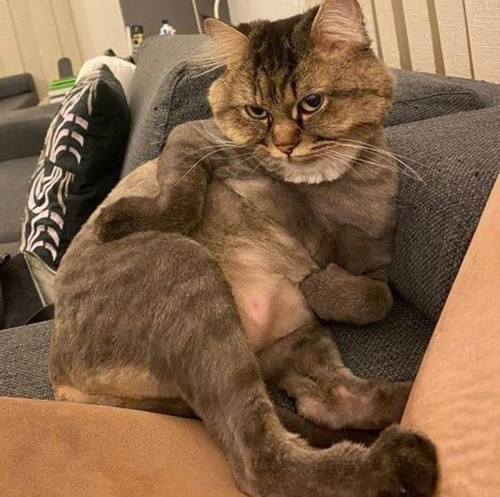 ������ ��������