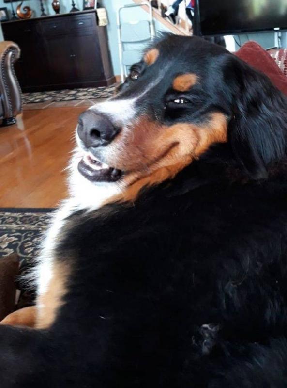 ������ ��������