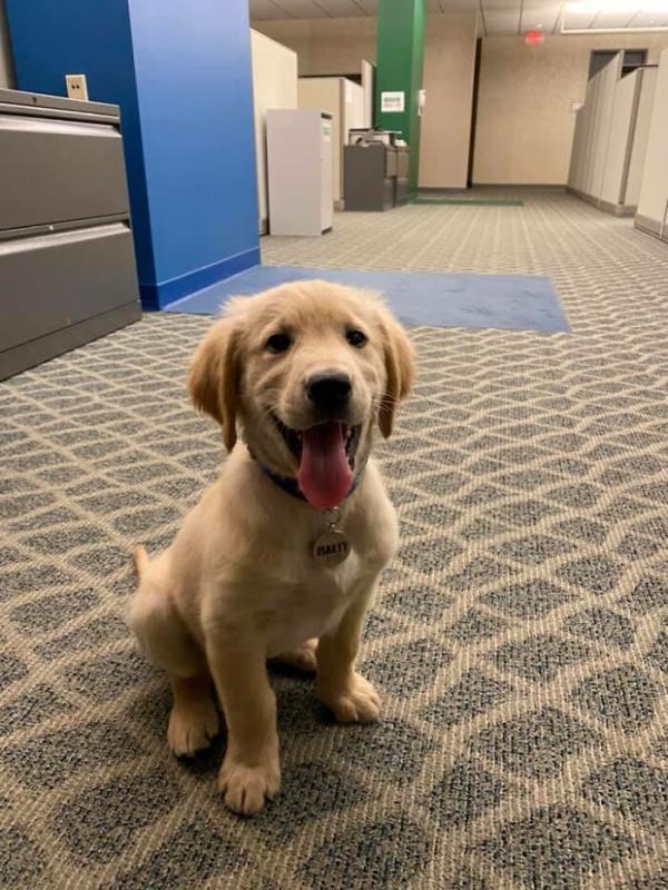 ������ ��������