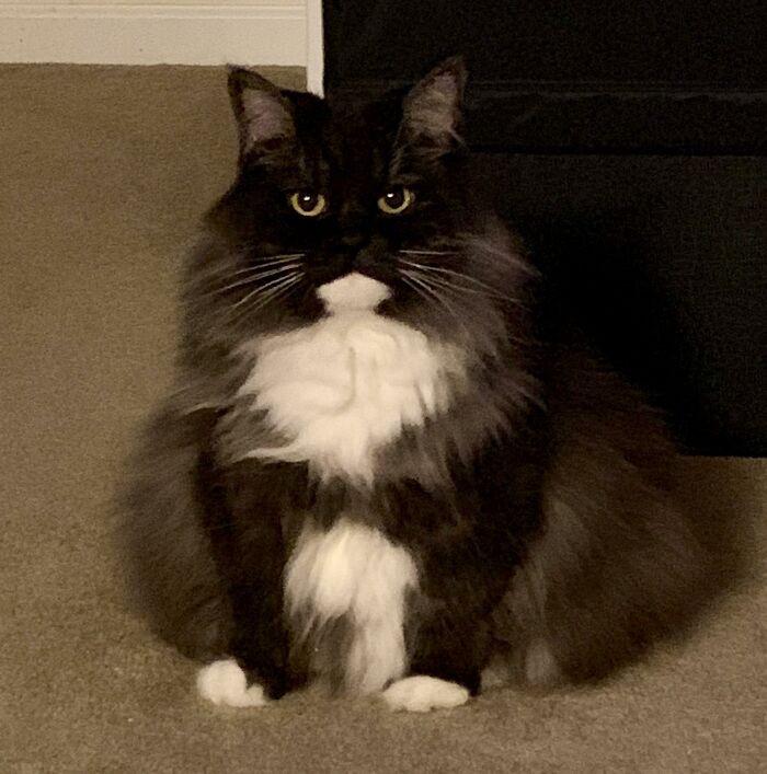 ������ ��������