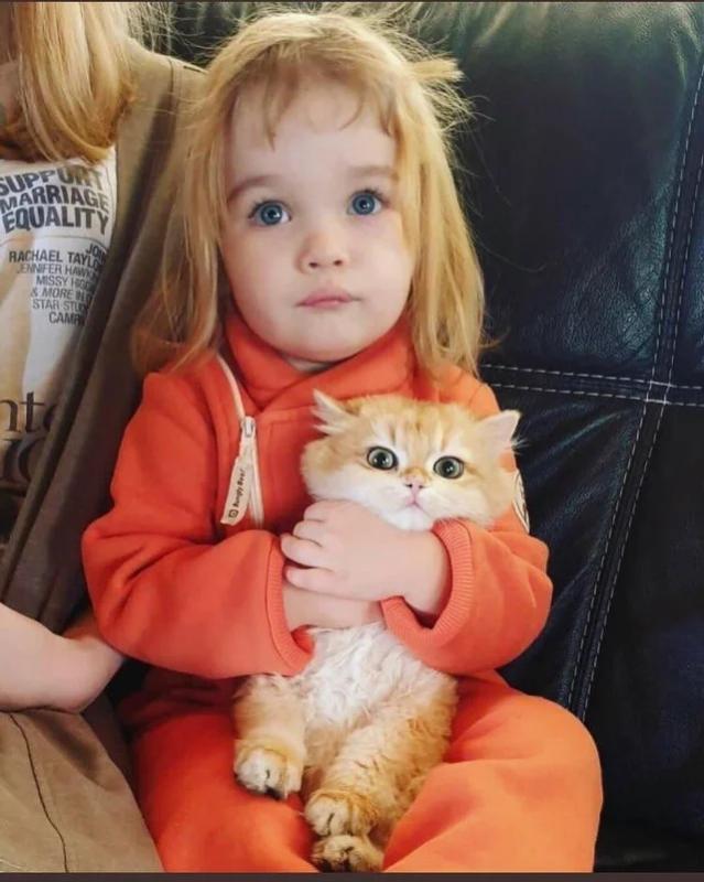 ������ ��������