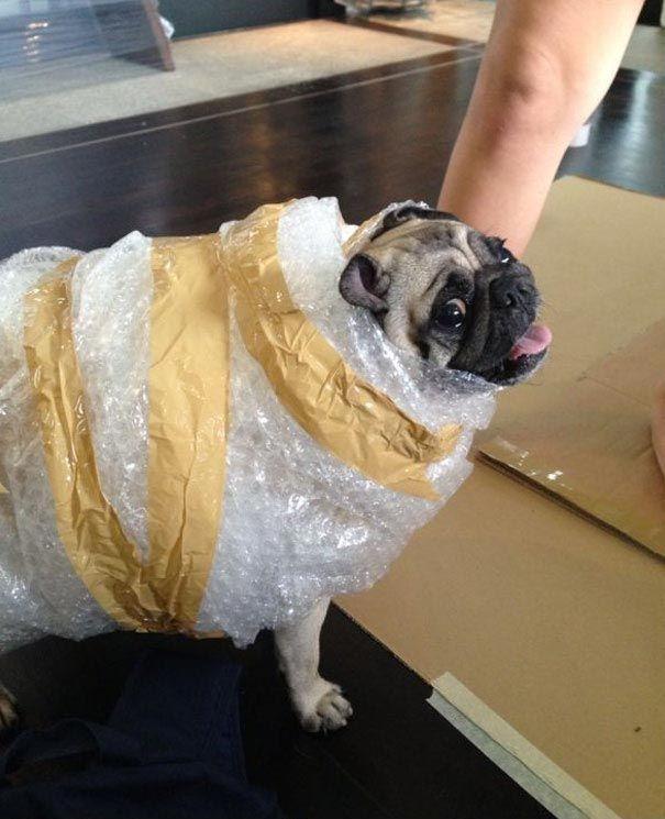 ������ ��������