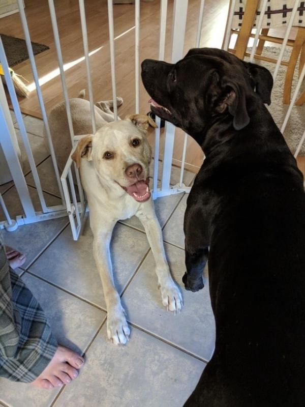 ������ ��������