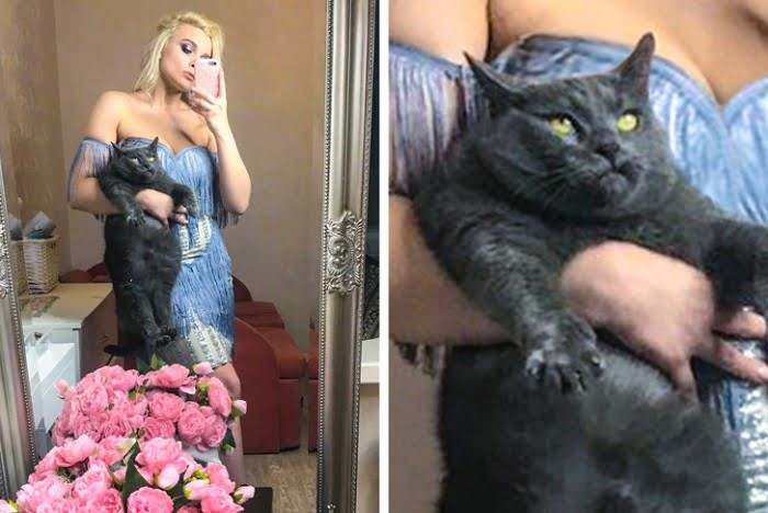 ������ ��������