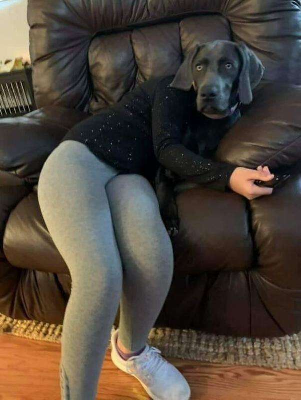 ������ ��������