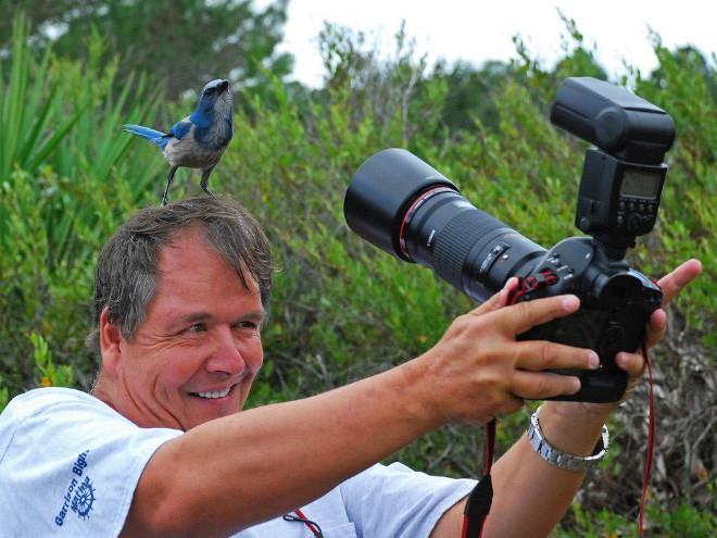 ������ ��������