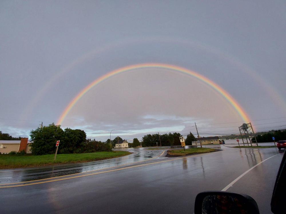 ������ ��������