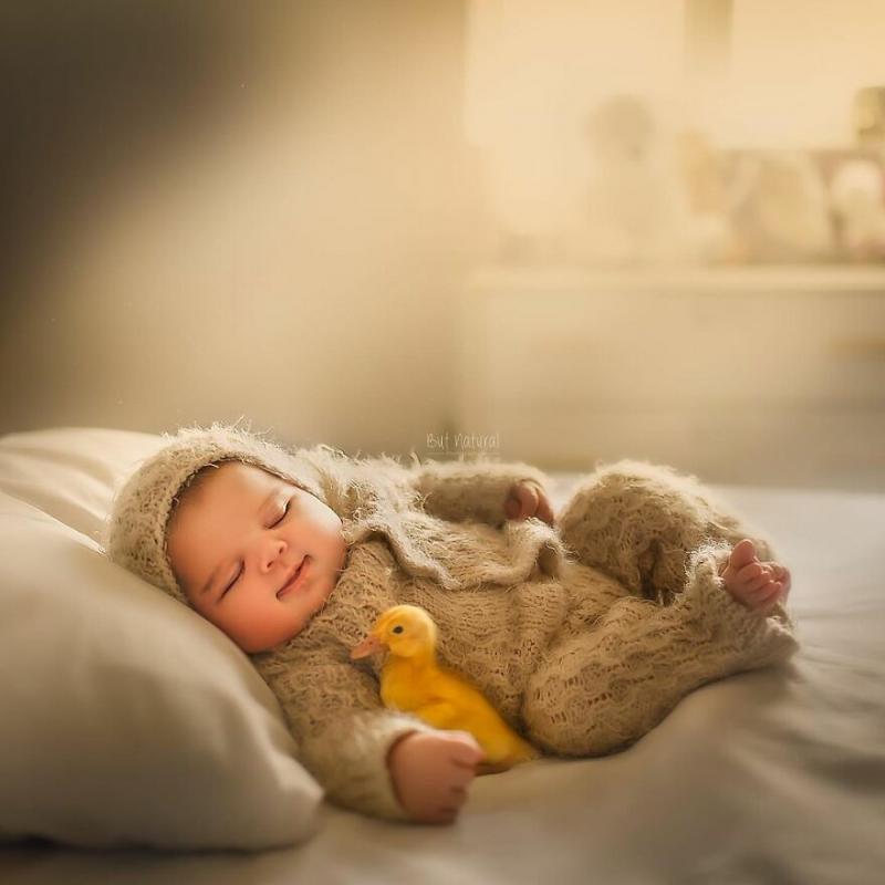 ������ ��������