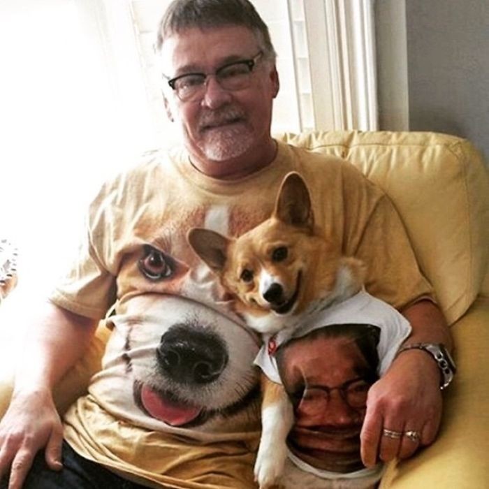 ������ ��������