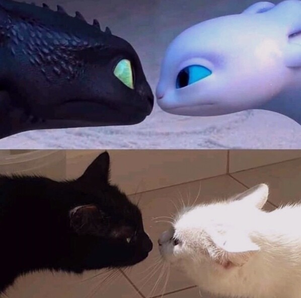 ������ ��������
