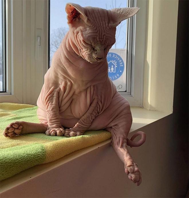 ������ ��������