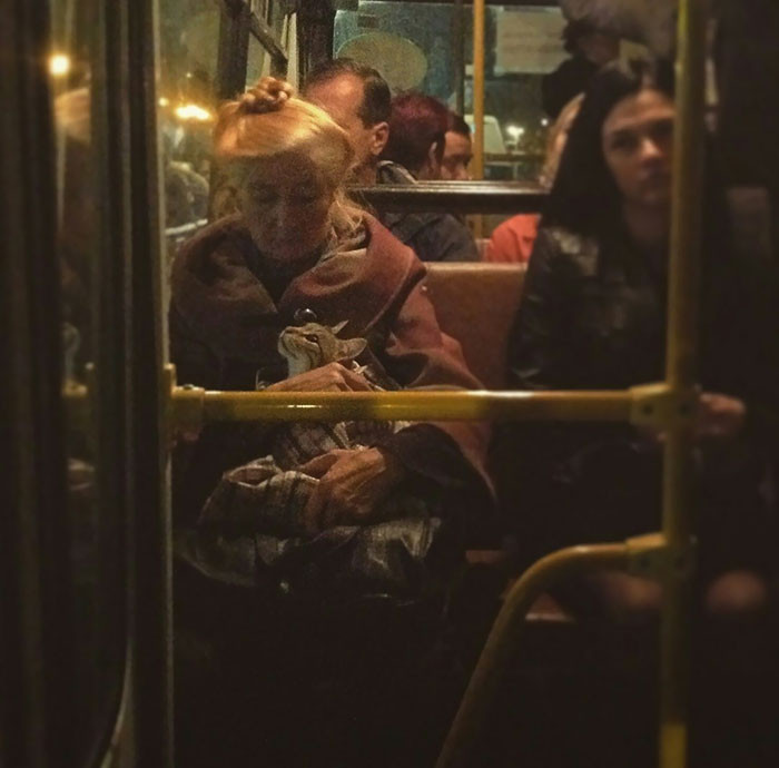 ������ ��������