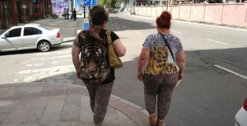 ������ ��������