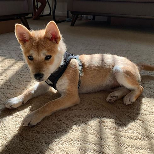 ������ ��������