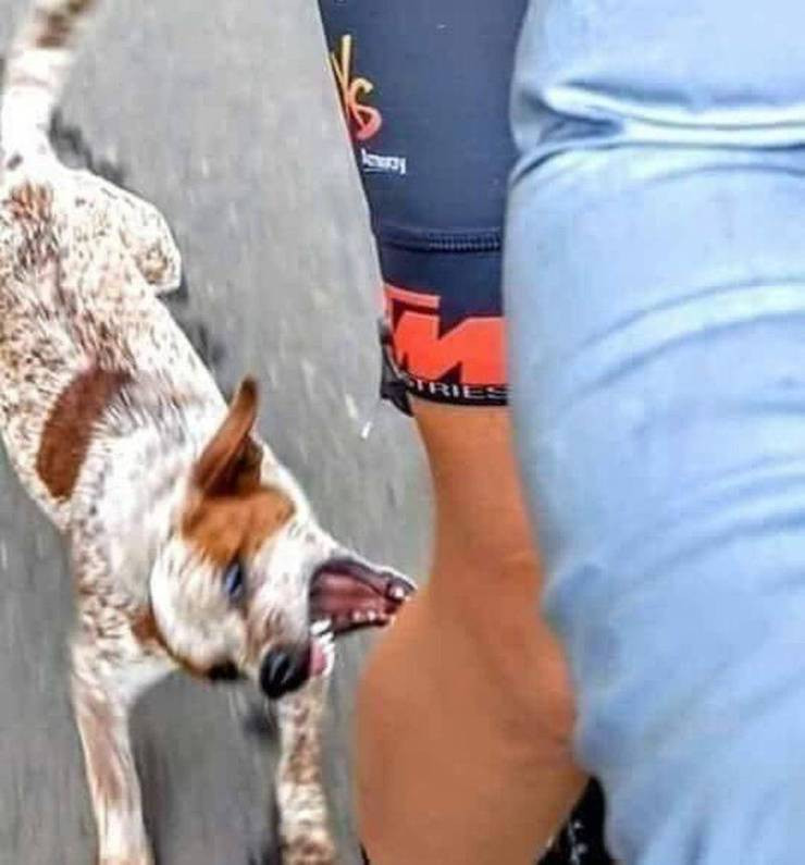 ������ ��������