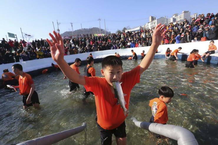 ������ ��������