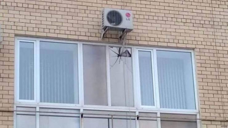 ������ ��������