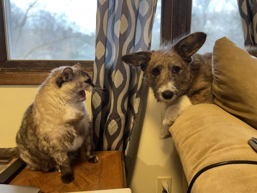 ������ ��������