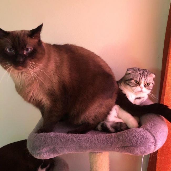 ������ ��������