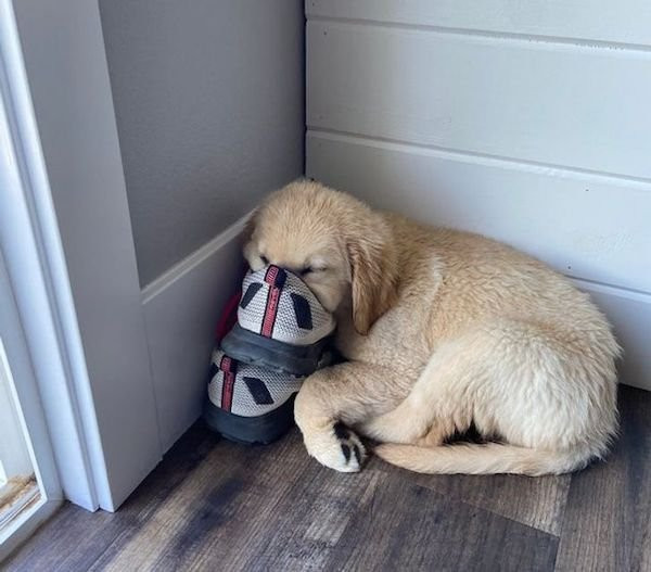 ������ ��������