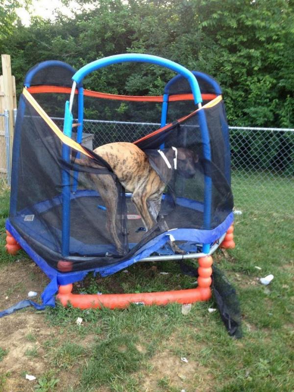 ������ ��������