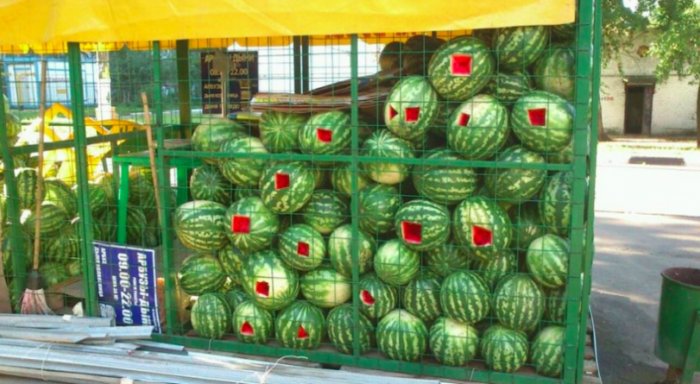 ������ ��������